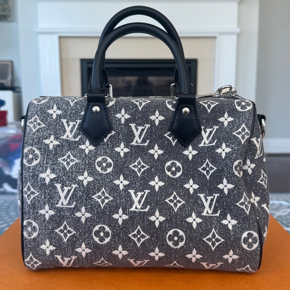 Louis Vuitton Black and Gray Monogram Speedy 25